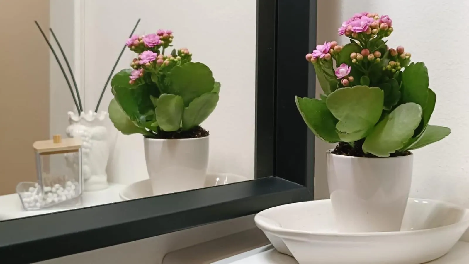 Appartamento Palermo eleganza in centro città Italia